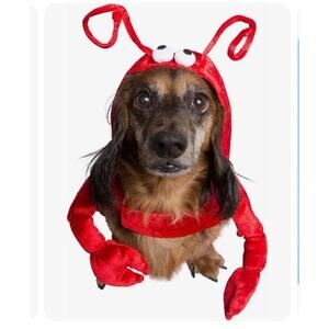 Pet Krewe Dog Cat Lobster Costume - Size Medium Harness With Hood New With Tags